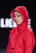 Load image into Gallery viewer, Capucha rompe corazones
